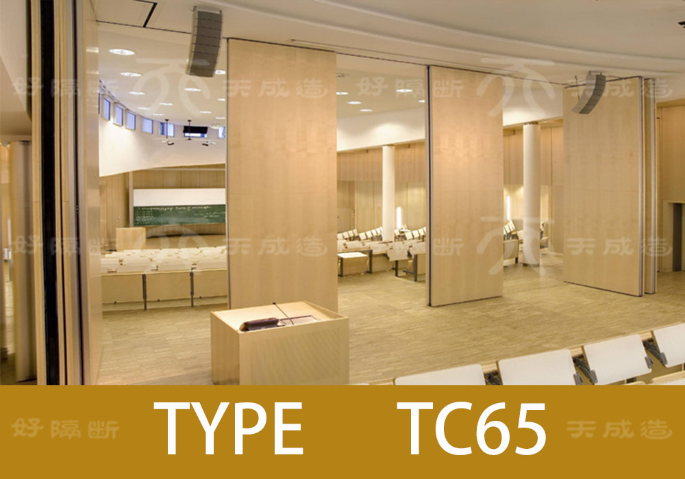 TC65 type active partition