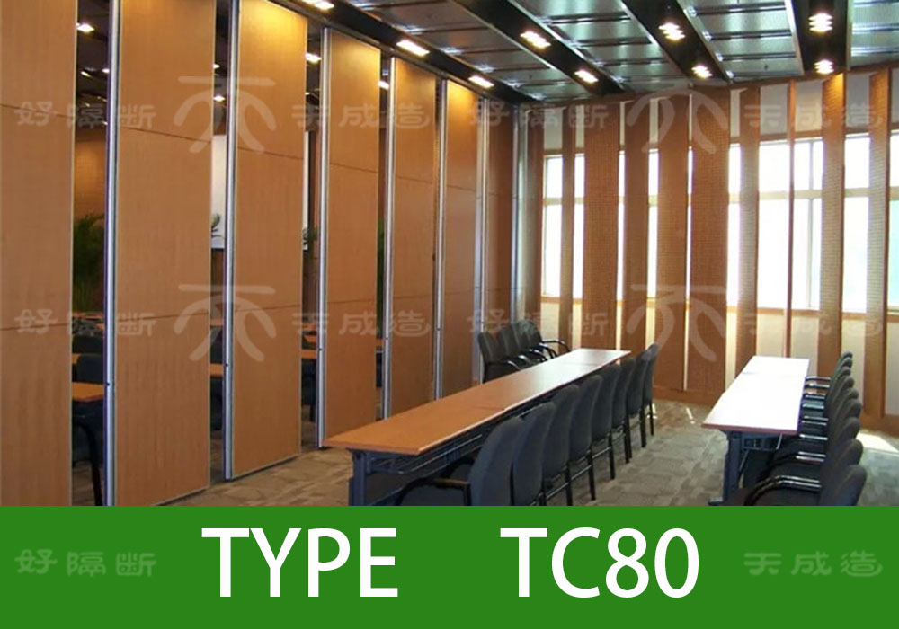 TC80 type active partition