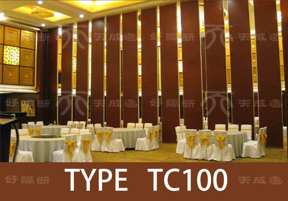 TC100 type active partition
